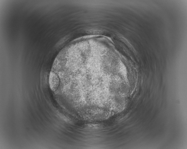 X0000082200071200702170029