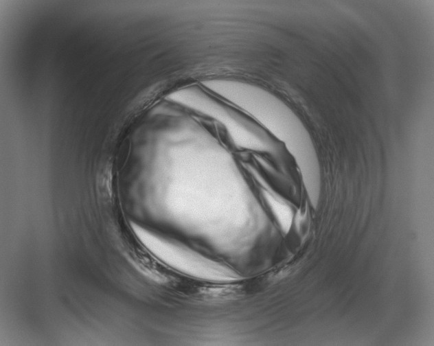 X0000082200072200702170029