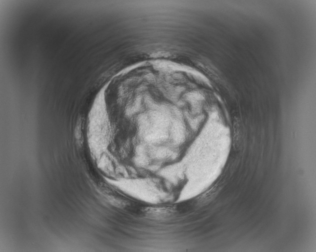 X0000082200074200702170029