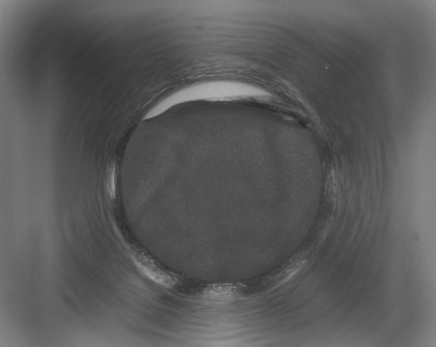 X0000082200076200702170029