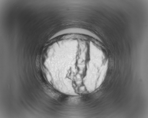 X0000082200078200702170029