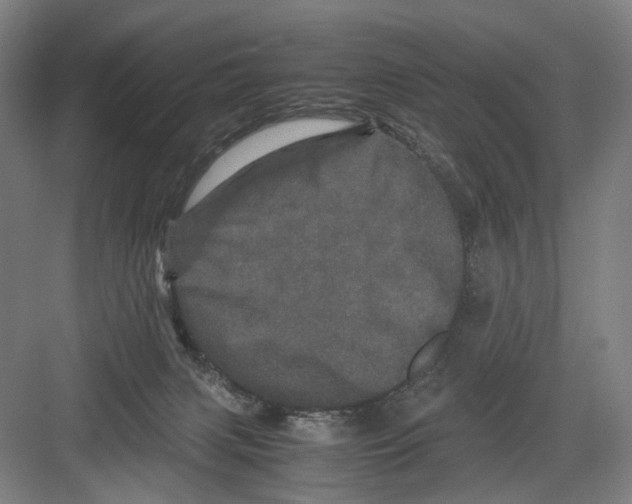 X0000082200079200702170029