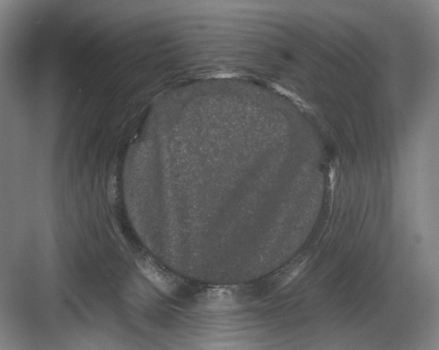 X0000082200080200702170029