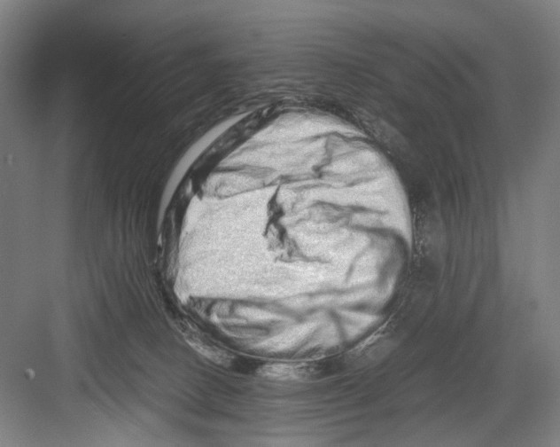 X0000082200082200702170029