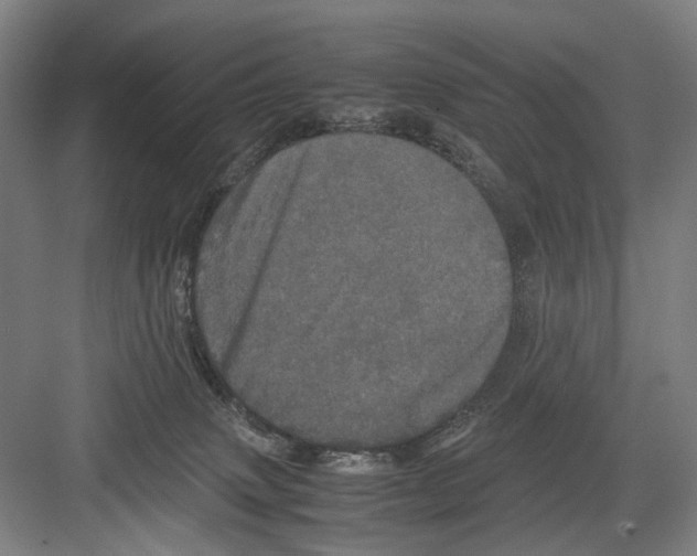 X0000082200083200702170029