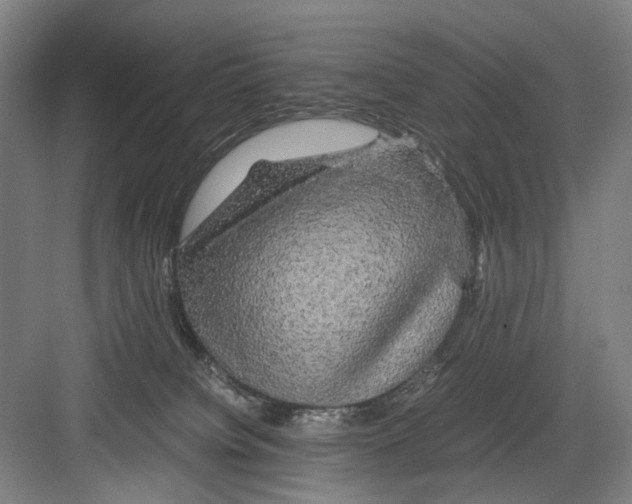 X0000082200084200702170029