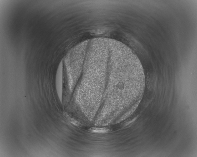 X0000082200085200702170029