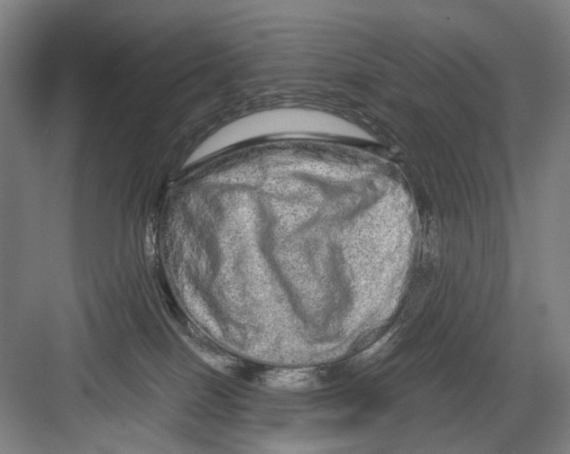 X0000082200086200702170029