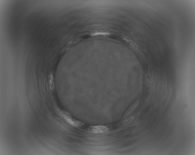 X0000082200087200702170029