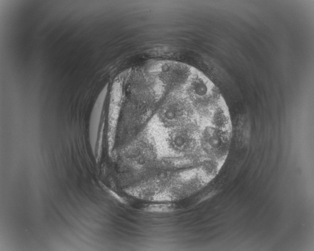 X0000082200089200702170029