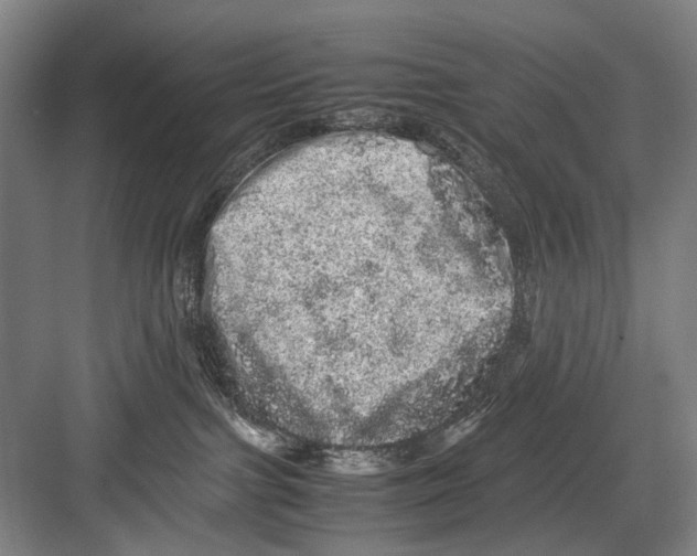 X0000082200091200702170029