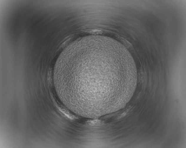 X0000082200092200702170029