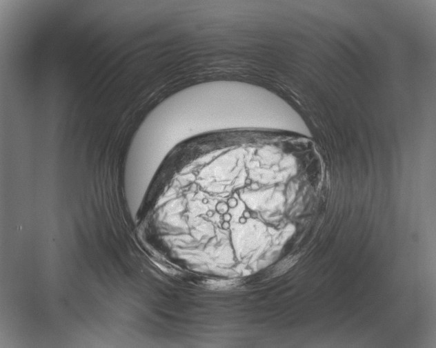 X0000082200093200702170029