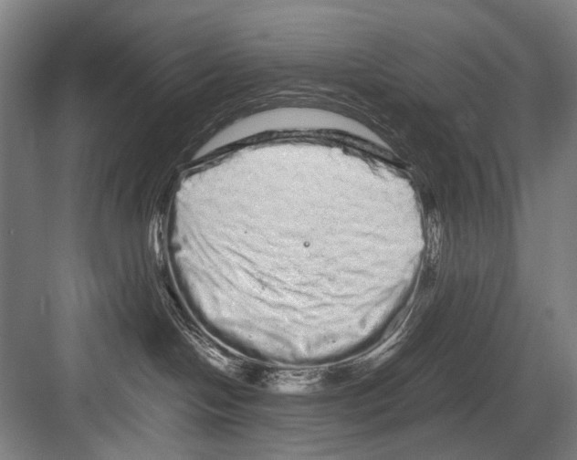 X0000082200094200702170029