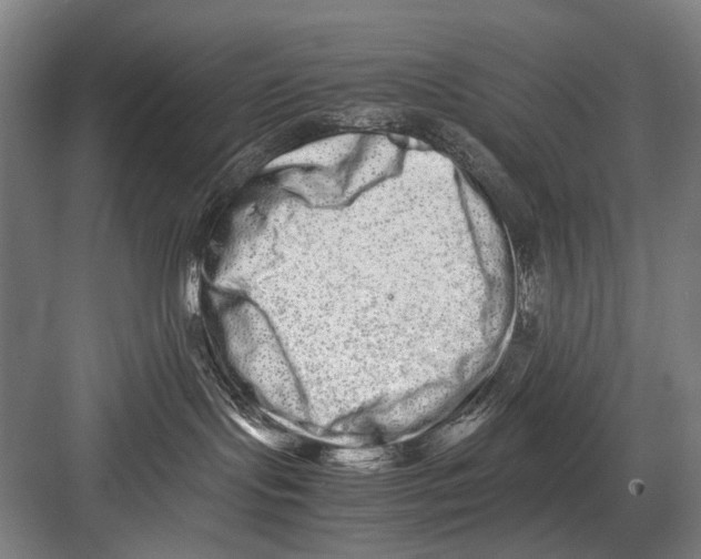 X0000082200095200702170029