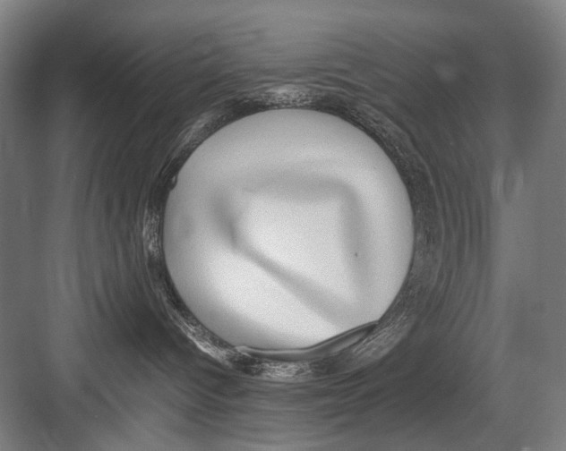 X0000082200096200702170029