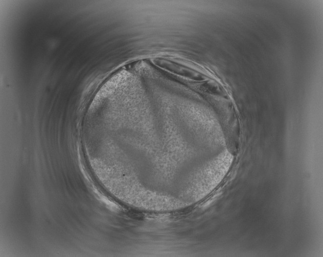 X0000082200097200702170029