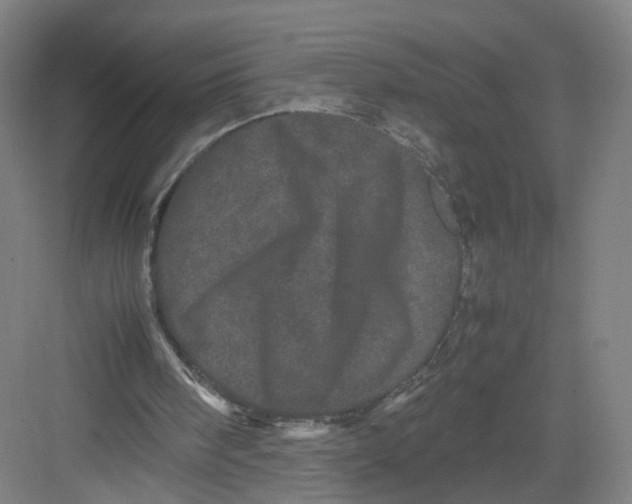 X0000082200098200702170028