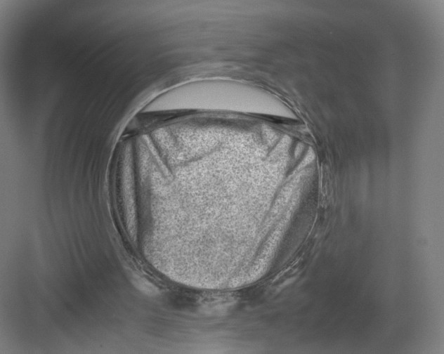 X0000082200099200702170028