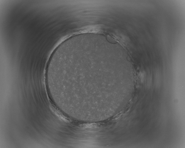 X0000082200100200702170028