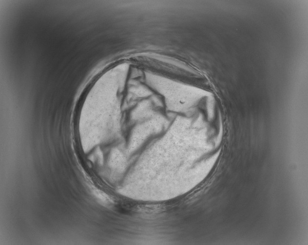 X0000082200102200702170028