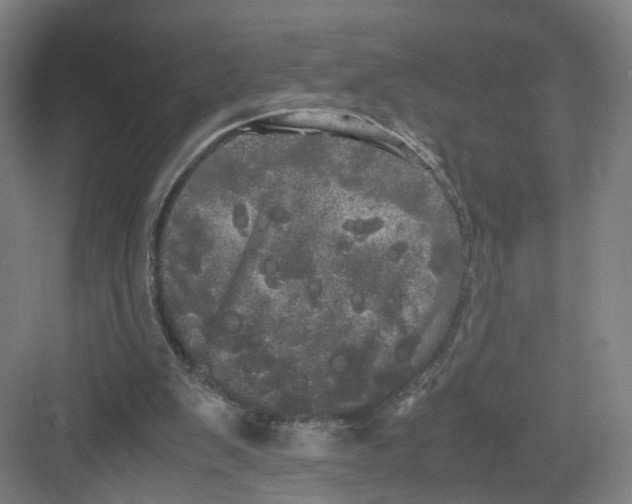 X0000082200103200702170028