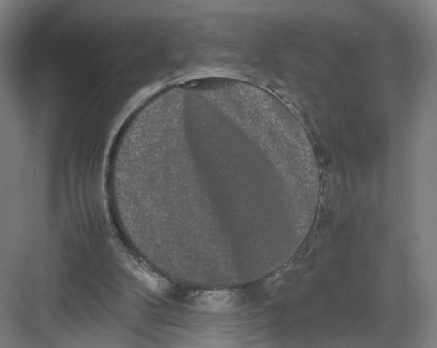 X0000082200104200702170028