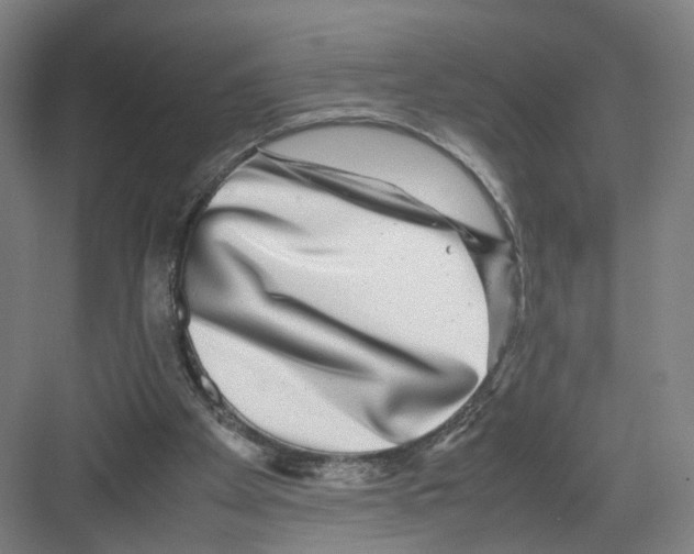 X0000082200105200702170028