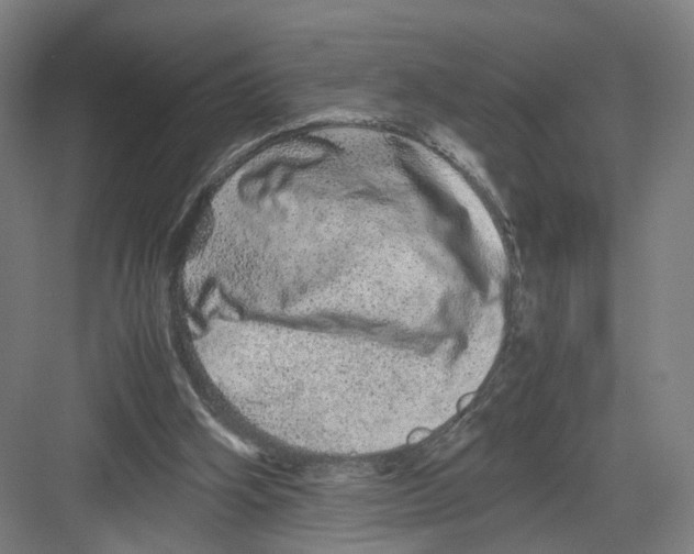 X0000082200106200702170028