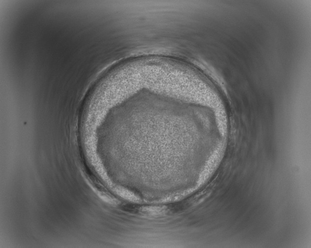 X0000082200107200702170028