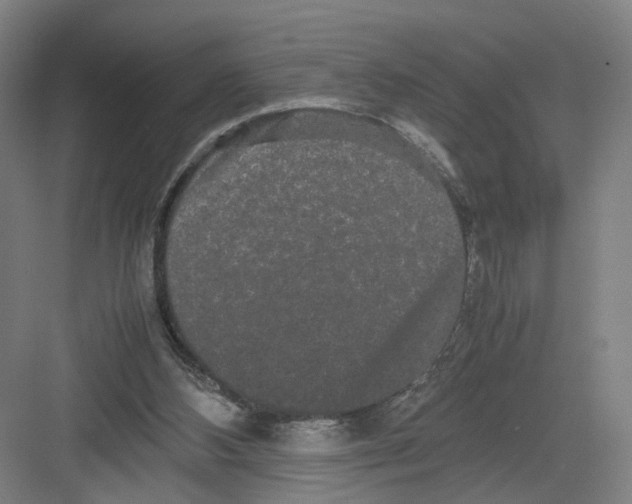 X0000082200108200702170028