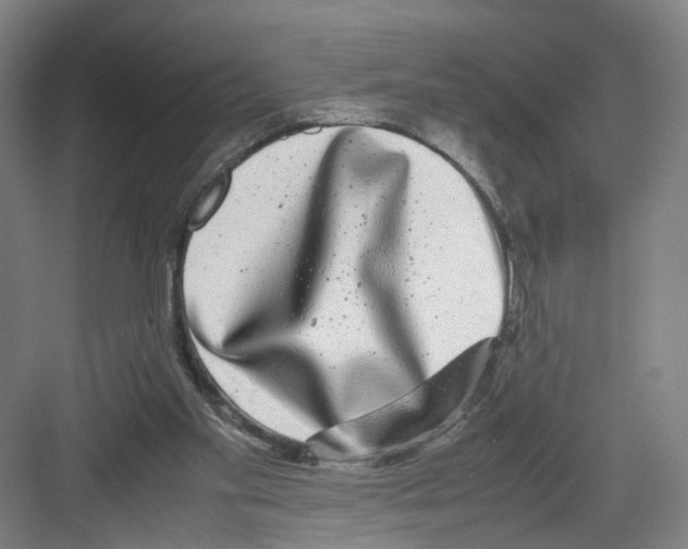 X0000082200109200702170028