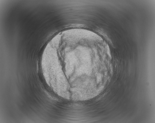 X0000082200110200702170028