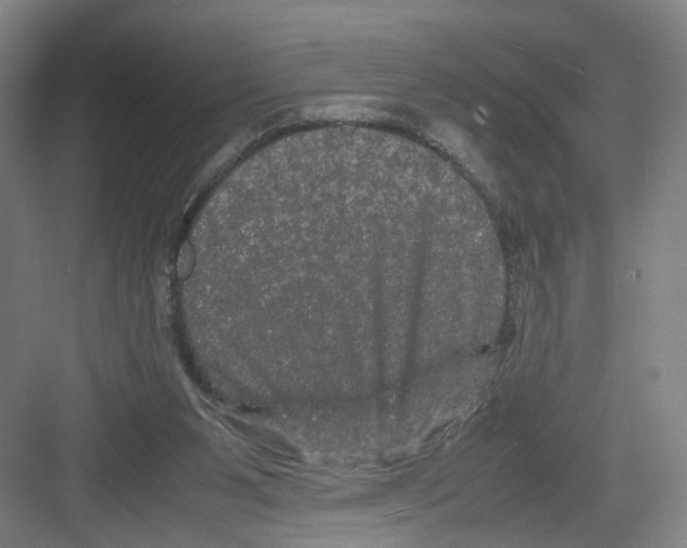 X0000082200111200702170028