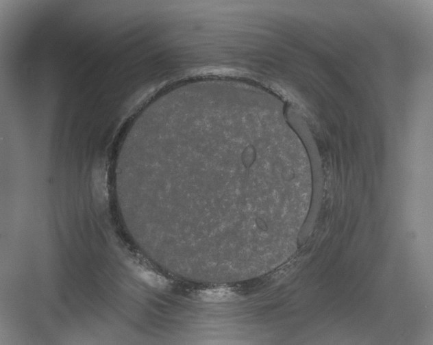 X0000082200112200702170028