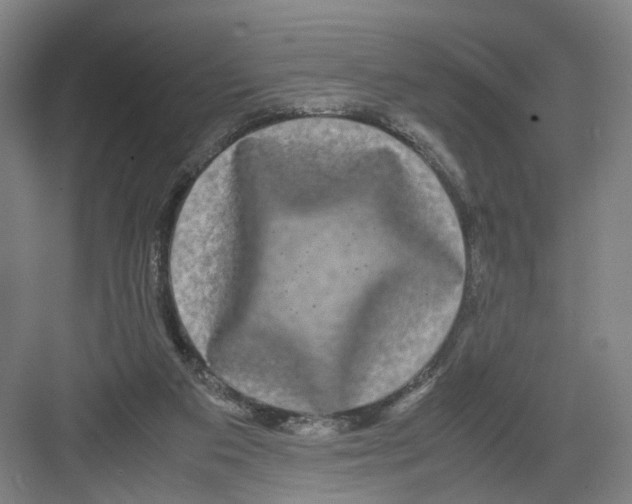 X0000082200113200702170028