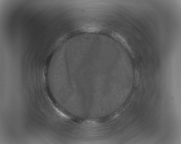 X0000082200114200702170028