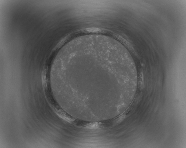 X0000082200116200702170028