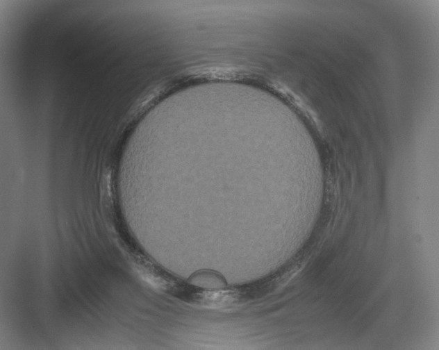 X0000082200117200702170028