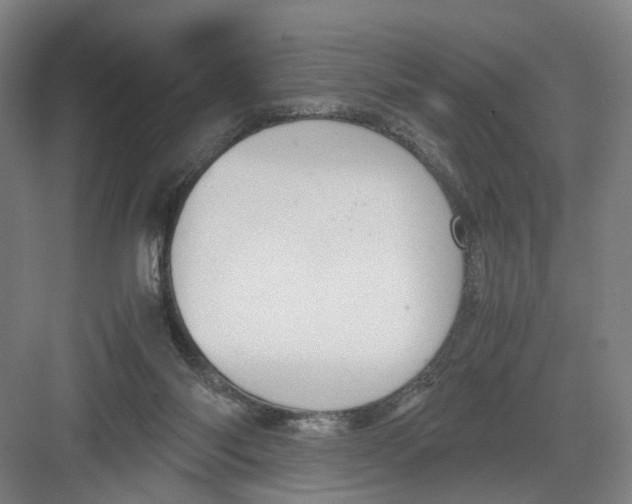 X0000082200118200702170028