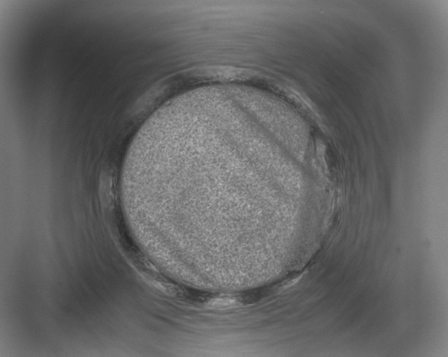 X0000082200119200702170028