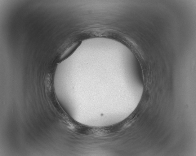 X0000082200121200702170028