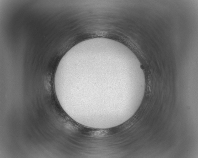 X0000082200122200702170028