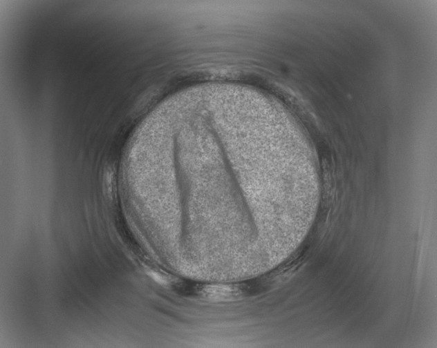 X0000082200123200702170028