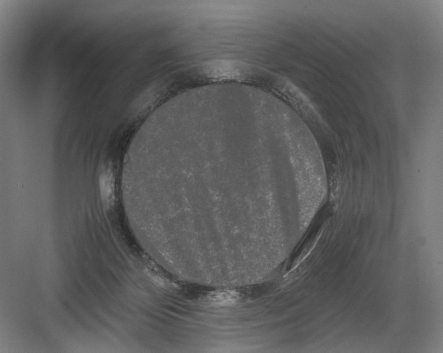 X0000082200124200702170028