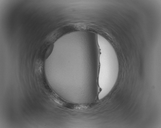 X0000082200125200702170028