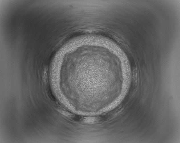 X0000082200127200702170028