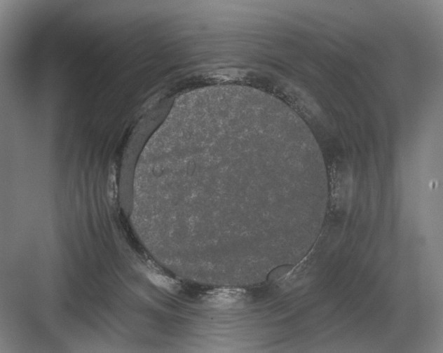 X0000082200128200702170028