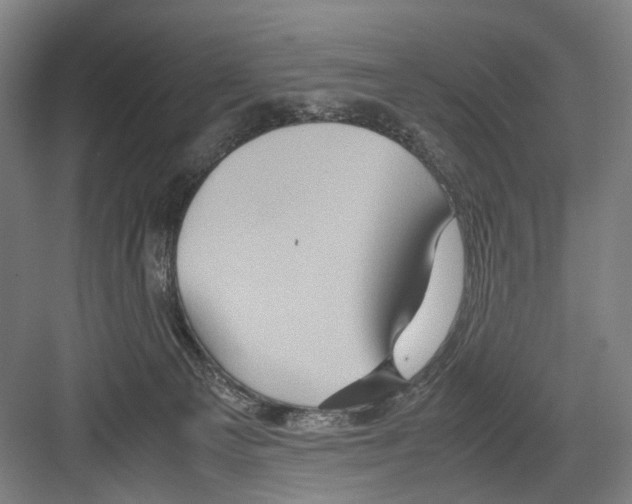 X0000082200129200702170028