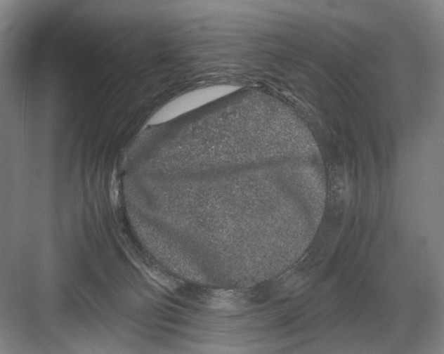 X0000082200130200702170028